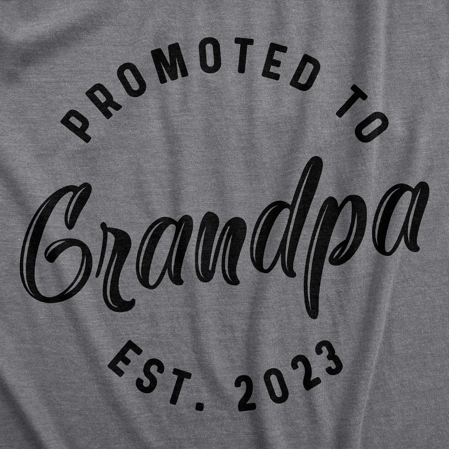 Crazy Dog Mens Shirts Promoted to Papa Grandpa or Uncle 2025 2024 or 2023 Funny Fathers Day Tees